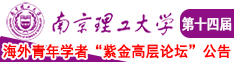 传媒男女啪啪插BB视频南京理工大学第十四届海外青年学者紫金论坛诚邀海内外英才！